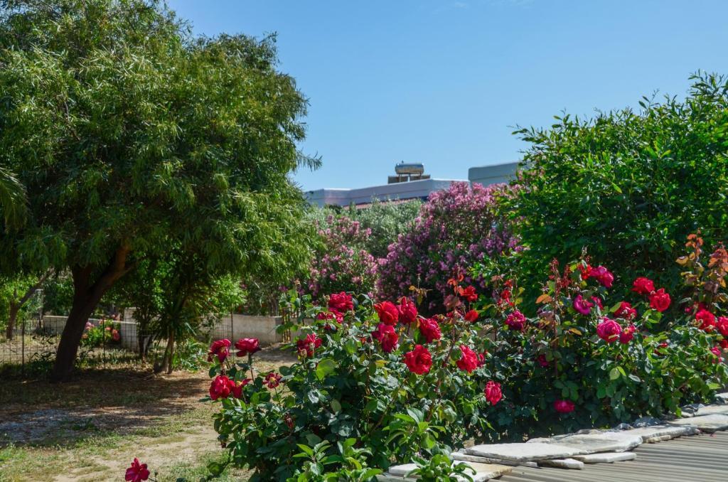 Golden Beach Glyfada Apartment Kastraki (Naxos)